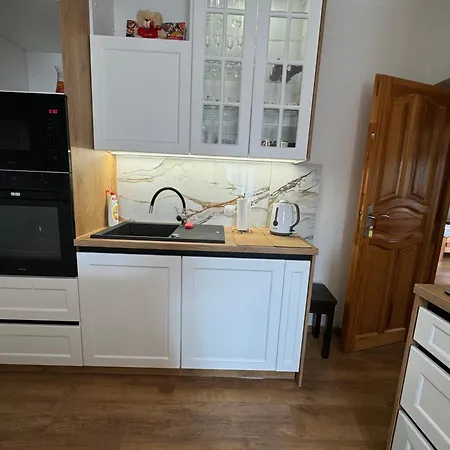 Gut - 2 Sypialnie, Duza Kuchnia, Kino Domowe Netflix & Hbo, Kryty Parking, Szybkie Wifi, 5km Od Zakopane Apartmán *