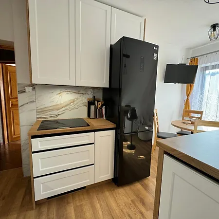 Gut - 2 Sypialnie, Duza Kuchnia, Kino Domowe Netflix & Hbo, Kryty Parking, Szybkie Wifi, 5km Od Zakopane Apartmán