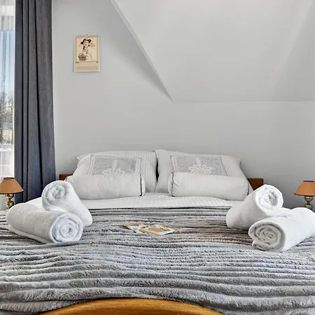 Gut - 2 Sypialnie, Duza Kuchnia, Kino Domowe Netflix & Hbo, Kryty Parking, Szybkie Wifi, 5km Od Zakopane Апартаменти