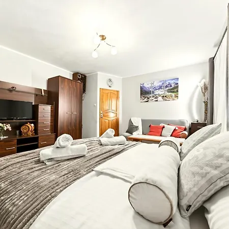 Gut - 2 Sypialnie, Duza Kuchnia, Kino Domowe Netflix & Hbo, Kryty Parking, Szybkie Wifi, 5km Od Zakopane